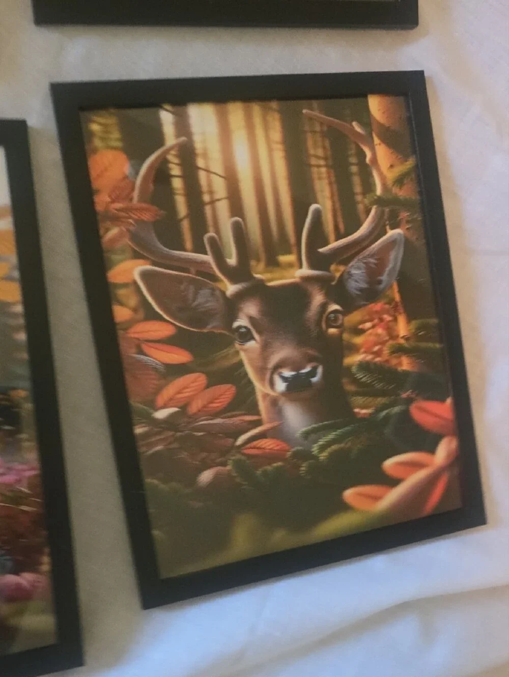 Woodland Forest Animal Wall Art Set Framed Prints